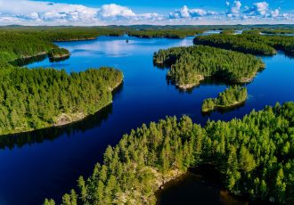 Hoewel Finland voor driekwart is bedekt met bos, neemt het ontbossingspercentage in het land toe en blijven de herbeplantingspercentages achter.